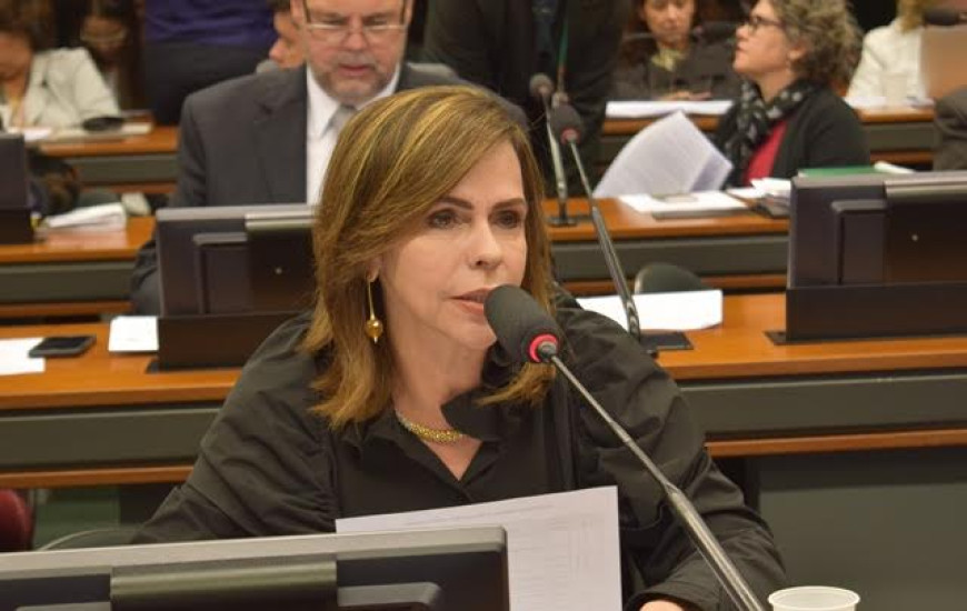 Dorinha cumpre compromisso e garante escola para Luzimangues