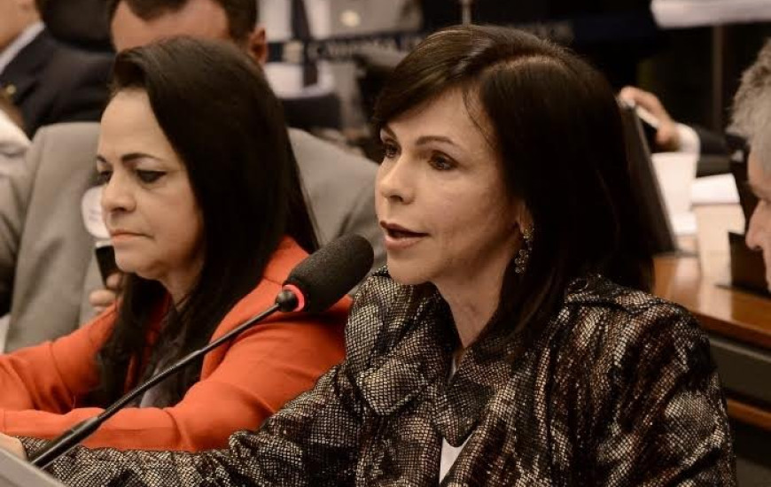 Deputada Professora Dorinha