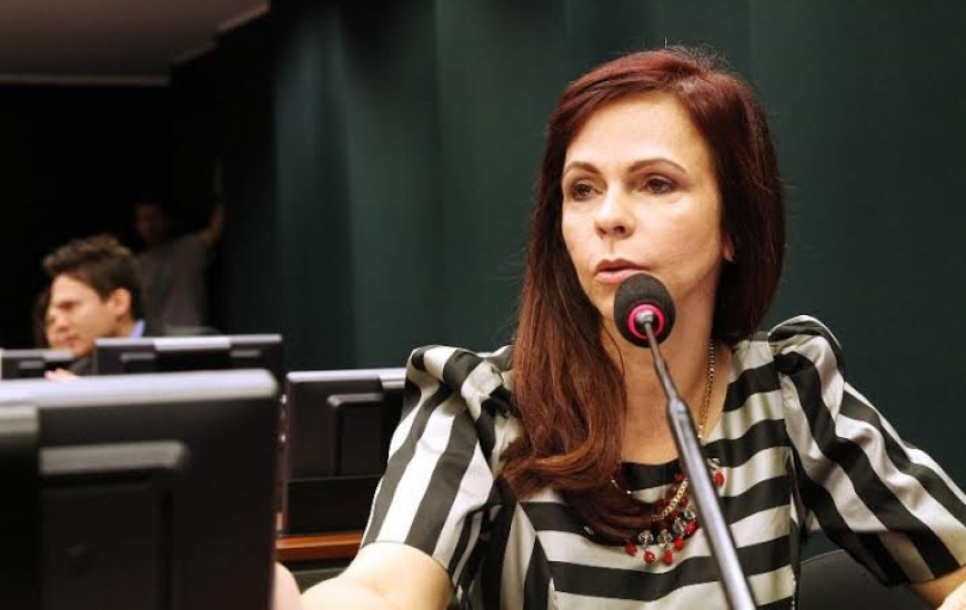 Deputada Profª Dorinha