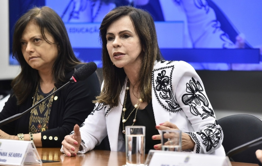 Deputada federal Professora Dorinha