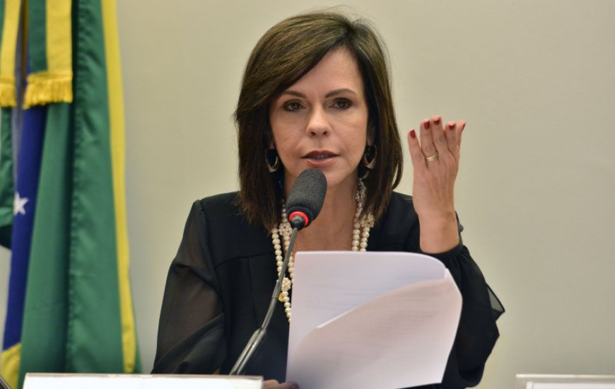 Dorinha vota contra MP