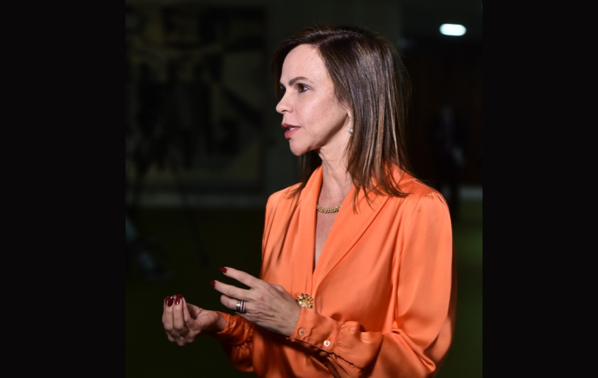 Deputada Federal Professora Dorinha