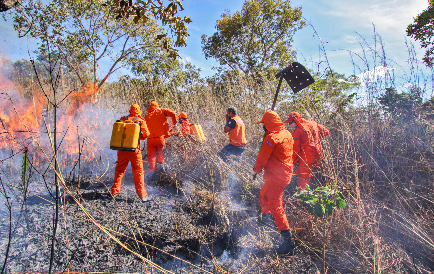 Curso Formação de brigadistas 