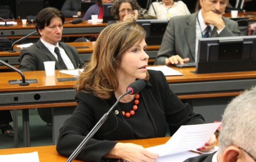 Deputada Dorinha Seabra