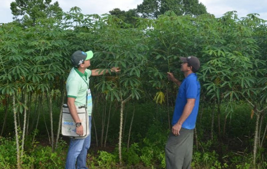 Cursos são voltados a produtores rurais