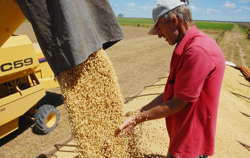 Safra deve ser quase 30% superior a passada