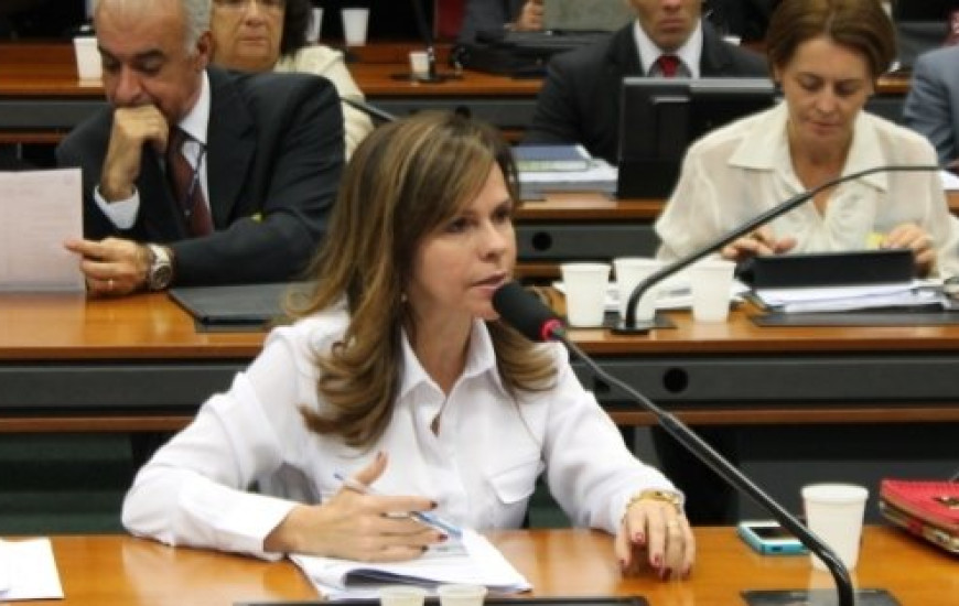 Deputada Dorinha Seabra