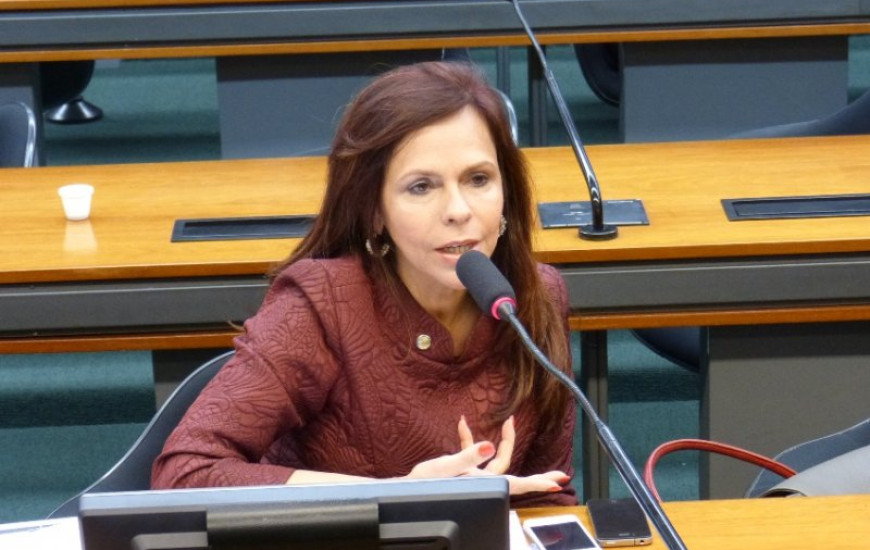 Deputada Dorinha Seabra