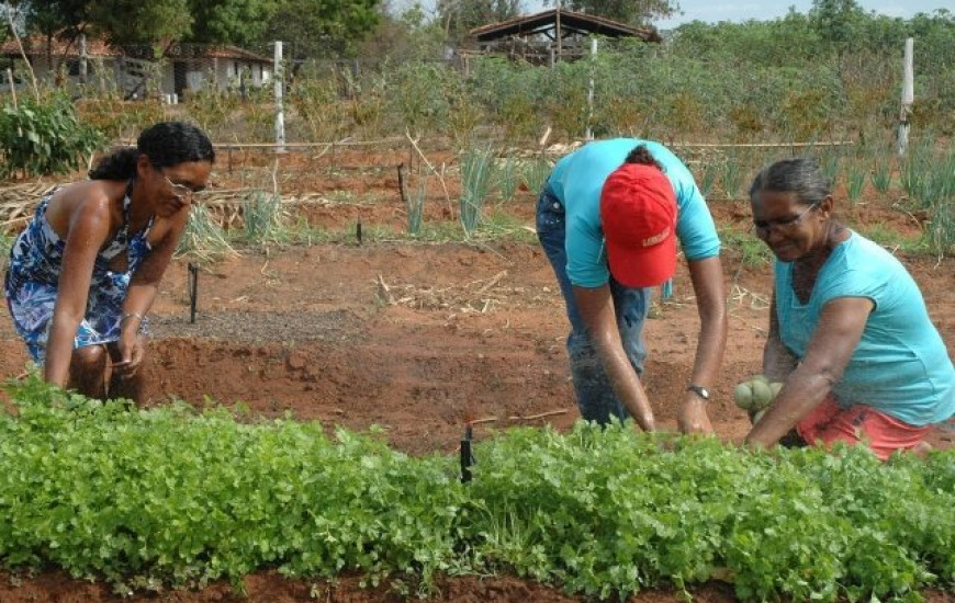 Agricultura familiar é tema da feira este ano