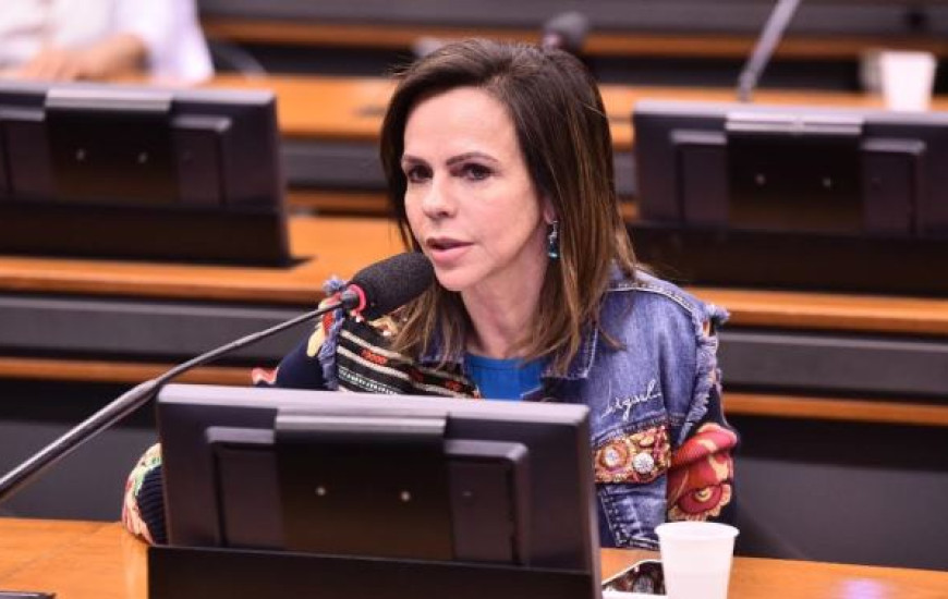 Comissão realiza audiência requerida por Dorinha