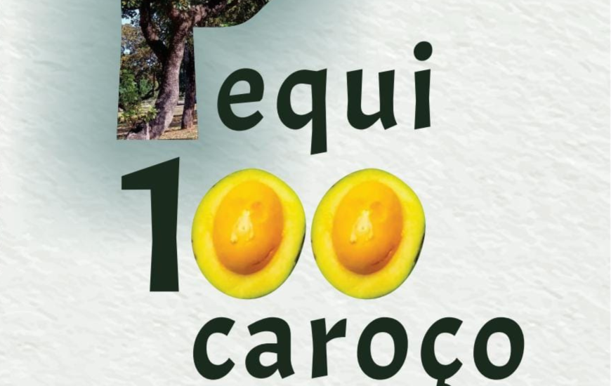 Livro Pequi 100 Caroço de Edilez Brito será lançado na 5ª feira, 28, em Palmas