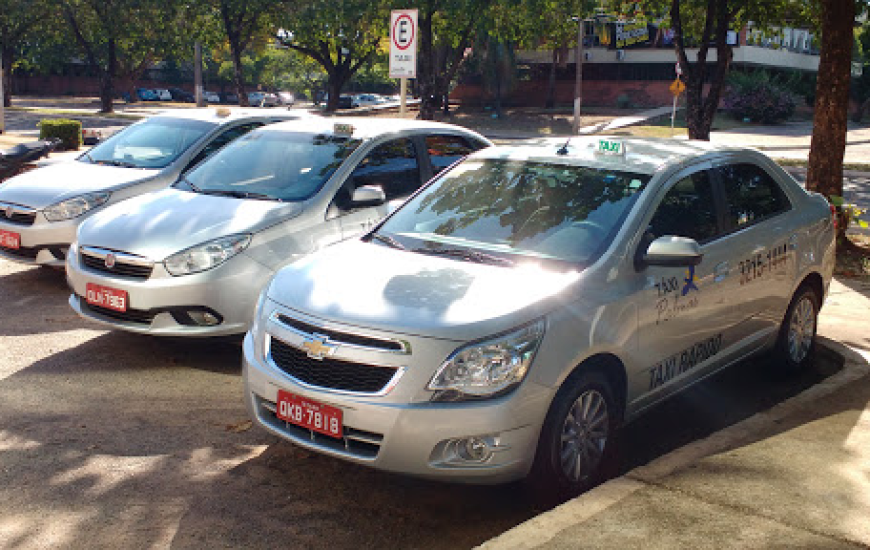 Atualmente 136 taxistas atuam na Capital