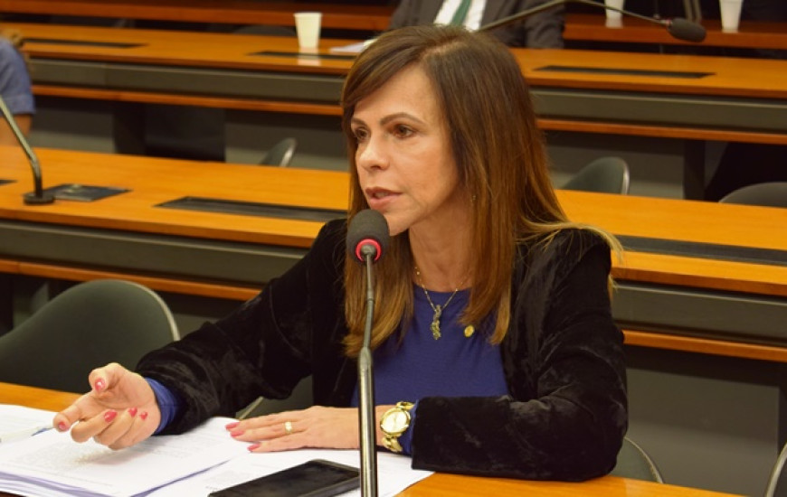 Deputada federal Professora Dorinha