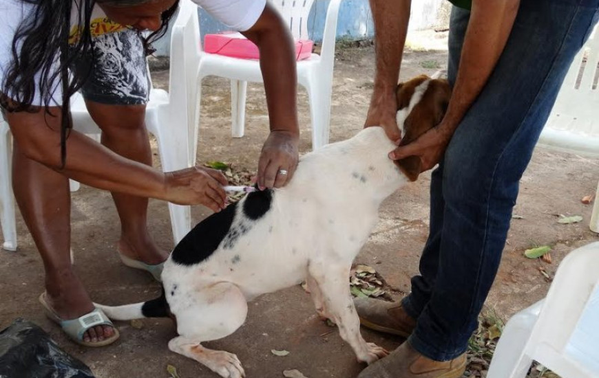 Vacinação acontece neste sábado