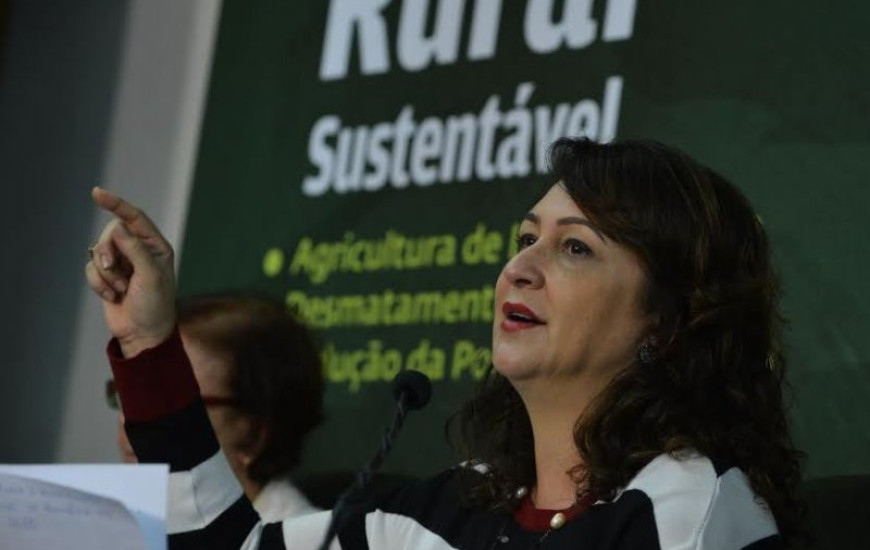 Ministra coordena evento na Capital