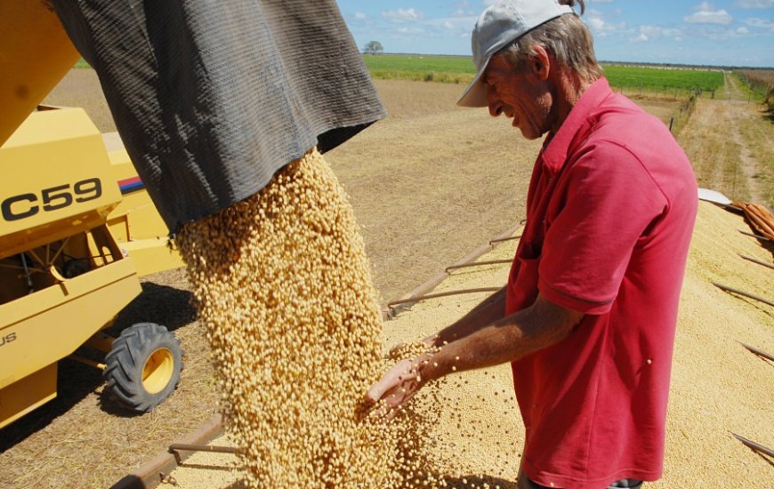 A área plantada de soja deve aumentar