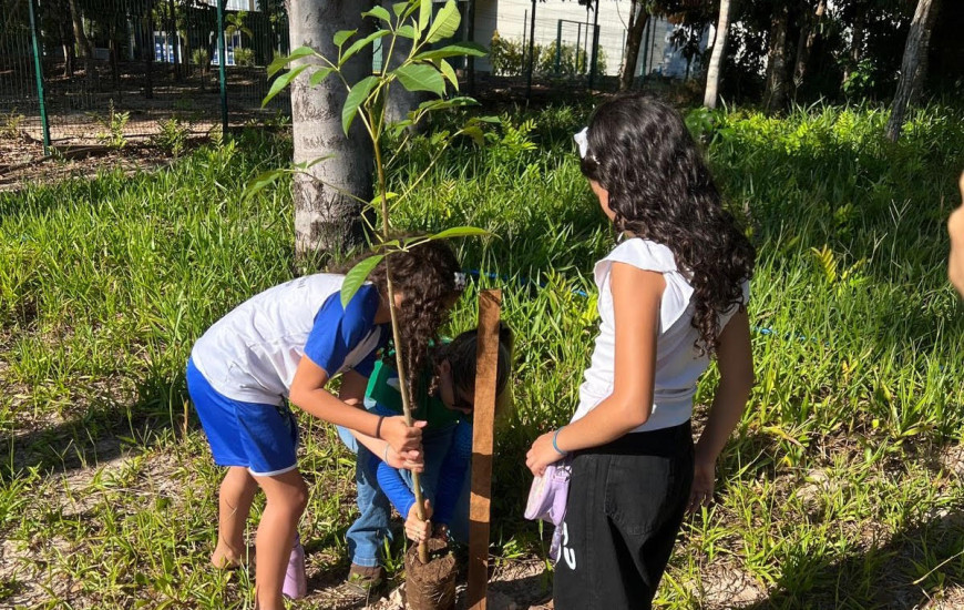Alunos participam de ação de limpeza e plantio de mudas na Via Lago em Araguaína