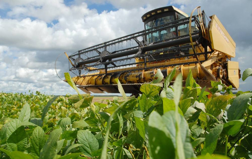 Produção de grãos é destaque no Estado