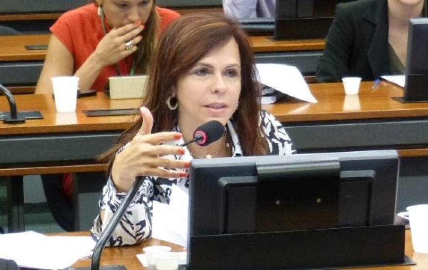Deputada Federal Prof. Dorinha