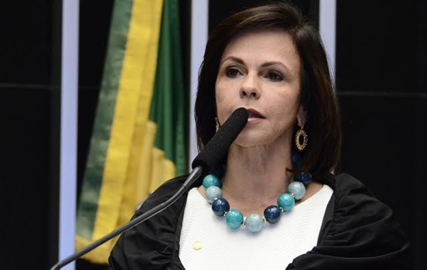 Deputada Professora Dorinha (Democratas/TO)