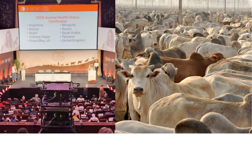 Certificado foi entregue na manhã desta quinta, 29, em Paris