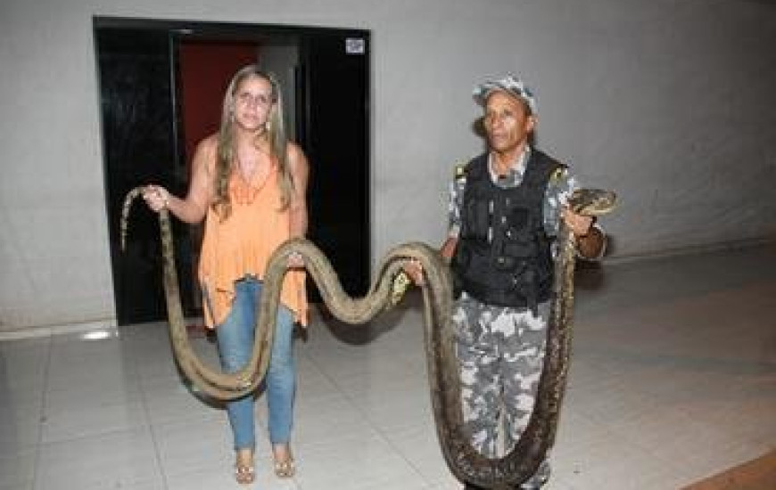 Sucuri encontrada morta