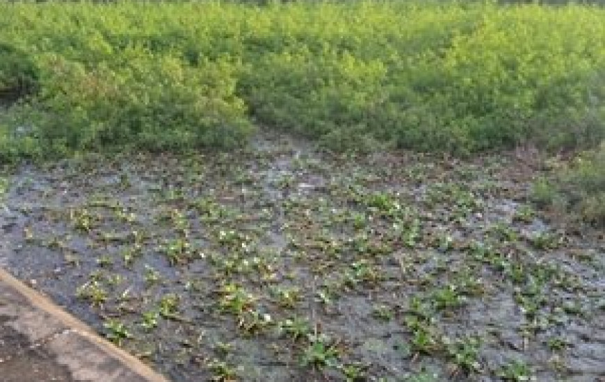 Estado tem 30 dias para restaurar esgoto da CPPP