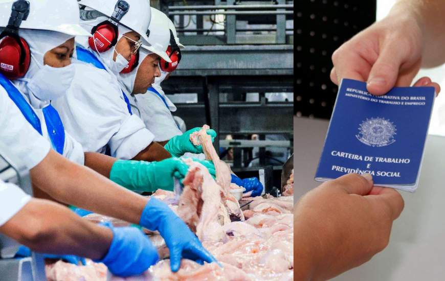 A agroindústria do Tocantins é uma das que mais geram postos de trabalho no TO